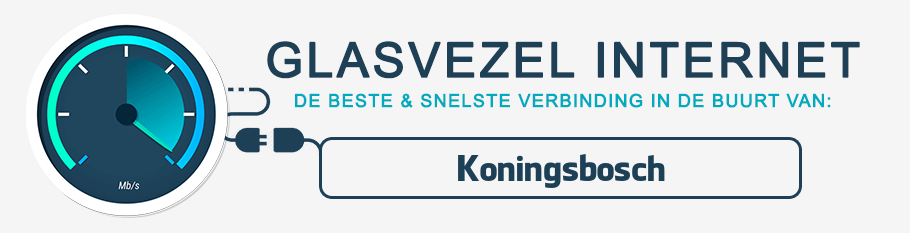 glasvezel internet Koningsbosch